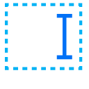 Text Input