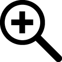 Zoom Icon