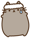Fitness Pusheen