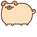 Pugsheen