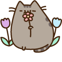 Pusheen and Flower