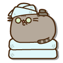 Pusheen and her Spa Treatments