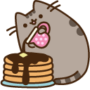 Pusheen and Pancakes