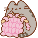 Pusheen and Pink Blanket