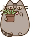 Pusheen and Plant Spring Cleaning