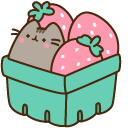 Pusheen and Strawberry