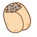 Pusheen Burrito and Bagel