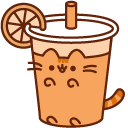 Pusheen Caramel Apple and Orange Drink