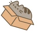Pusheen Hiding in a Box