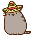 Pusheen in Mexican Hat