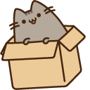 Pusheen in the Box