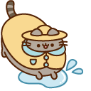 Pusheen on Rainy Day