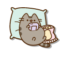 Pusheen Playing and Sleeping on a Pillow