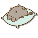 Pusheen Playing and Sleeping on a Pillow