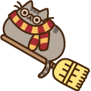 Pusheen Potter and Broomstick