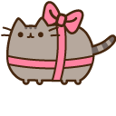 Pusheen Present and Gift Box