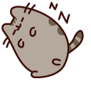Pusheen Sleeping