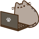 Pusheen with a Laptop