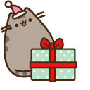 Pusheen with Christmas Present