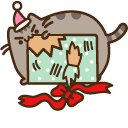 Pusheen with Christmas Present