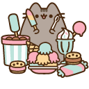 Pusheen with Ice Cream and Sweets