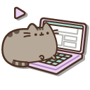 Pusheen Working and Resting on a Laptop