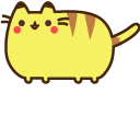 Pusheenachu