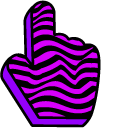 Purple Zebra