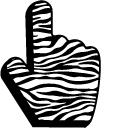 Zebra Pattern