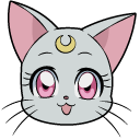 Sailor Moon Diana and Collar