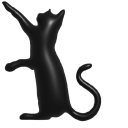 Simple 3D Black Cat