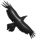 Simple 3D Black Crow
