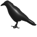 Simple 3D Black Crow