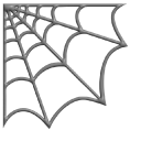 Simple 3D Gray Spider Web