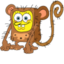 Monkey SpongeBob