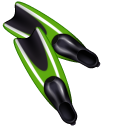 Swim Fins and Diving Mask
