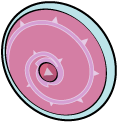 Steven Universe Rose Quartz and Shield