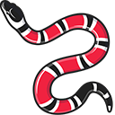 Gucci Kingsnake