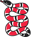 Gucci Kingsnake