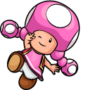 Super Mario Toadette