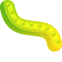 Gummy Worm and Bear