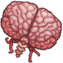 Terraria Brain of Cthulhu