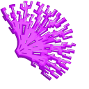 Purple Corals
