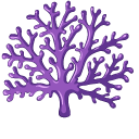Purple Corals