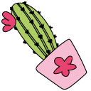 VSCO Girl Cactus Flower