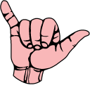 VSCO Girl Hand Spray and Hang Loose Hand
