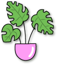 VSCO Girl Houseplants