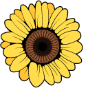 VSCO Girl Lemon and Sunflower