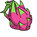 VSCO Girl Palm Leaf and Dragon Fruit