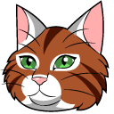 Warrior Cats Apple Blossom